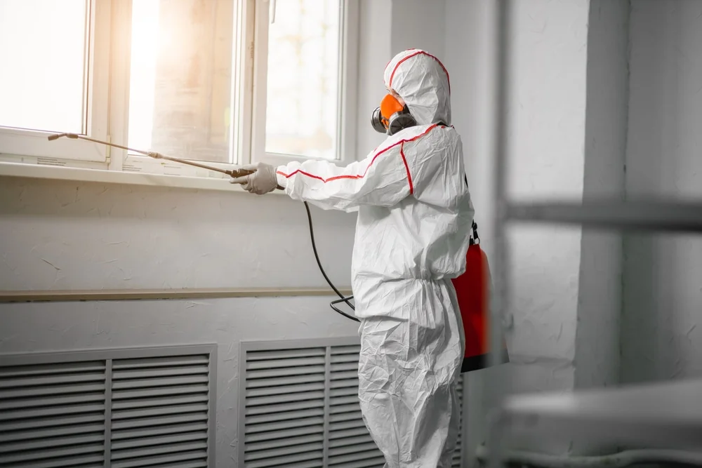 Professional mold remediation services in Laketon, IN